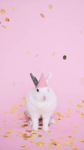 可爱的兔子戴着派对帽竖屏