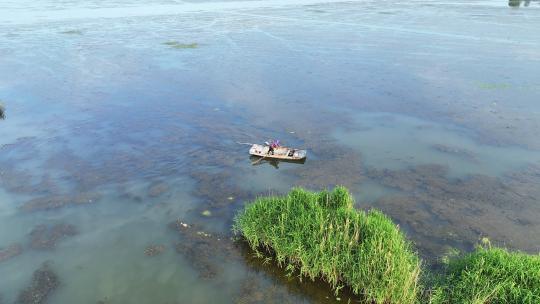 航拍山东济宁微山湖旅游区芦苇荡中的渔船