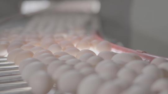 4K鸡蛋生产流水线S-Log素材