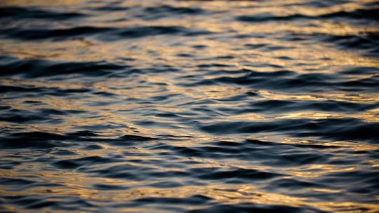 湖面夕阳金色水面波浪波光