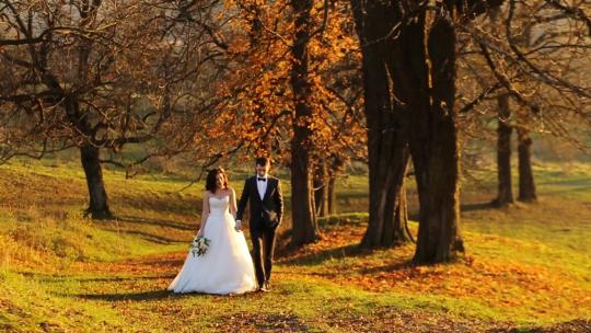 新娘和新郎美丽的年轻夫妇在日落时分手牵手在公园散步，他们的婚礼拍摄慢动作特写