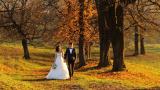 新娘和新郎美丽的年轻夫妇在日落时分手牵手在公园散步，他们的婚礼拍摄慢动作特写高清在线视频素材下载