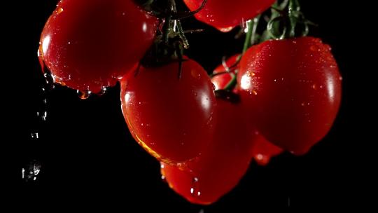 樱桃番茄用水冲洗