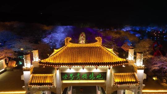 武汉东湖樱花园夜景视频素材模板下载