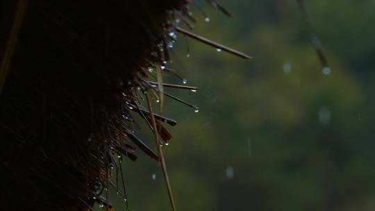 雨天茅草屋上滴下的雨滴视频素材模板下载