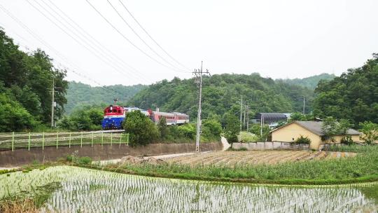 火车从乡村的稻田边驶过视频素材模板下载
