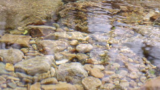 清澈的河水-溪流-水资源