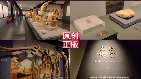 邢台博物馆新石器时代的出土文物