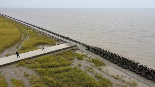 上海浦东海岸线