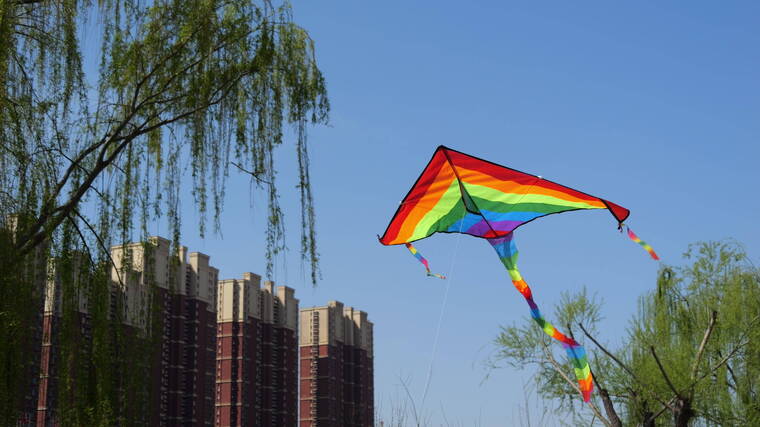 中國小朋友在公園樹林中放風箏