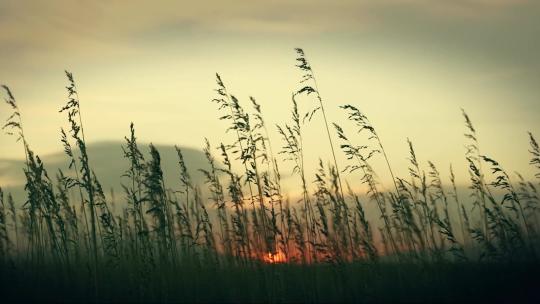 荒山野草日出日落空境