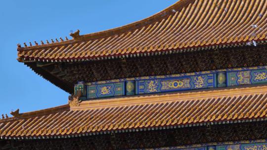 紫禁城皇宫上有鸽子飞过视频素材模板下载