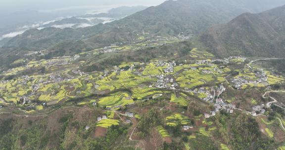 4k高清安康汉阴凤堰古梯田油菜花