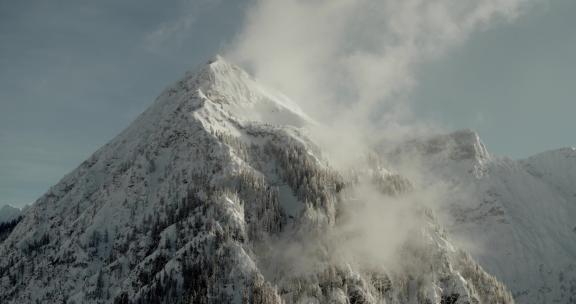 云雾中的雪山雪松森林雪景山顶高峰