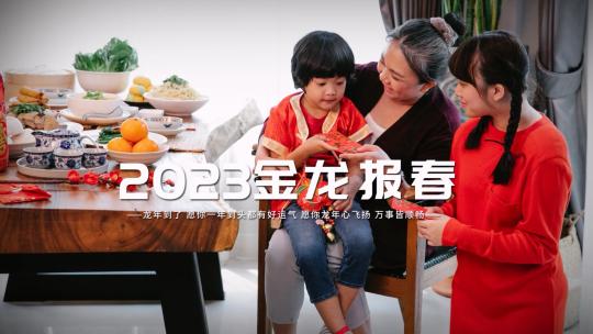 简洁时尚龙年快闪图文宣传展示AE模板