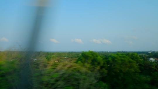 海南高铁动车火车窗外风景沿途风光 椰树