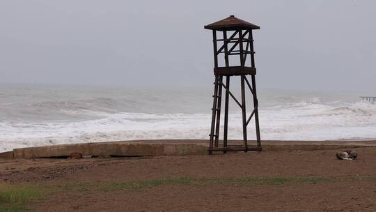 岸边的一个木制救生员塔