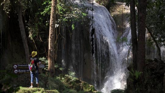 女子在热带的树林森林雨林中探险，分辨率4K