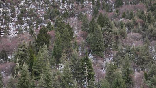 四姑娘山双桥沟景区航拍