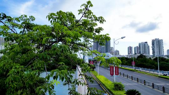 海南省三亚市城市迎宾路月川CBD航拍车流