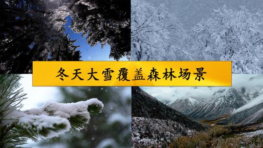 冬天大雪覆盖森林场景视频素材模板下载