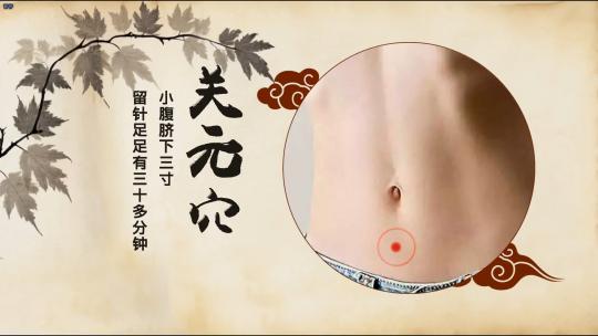 J007中医药材穴位展示AE模板