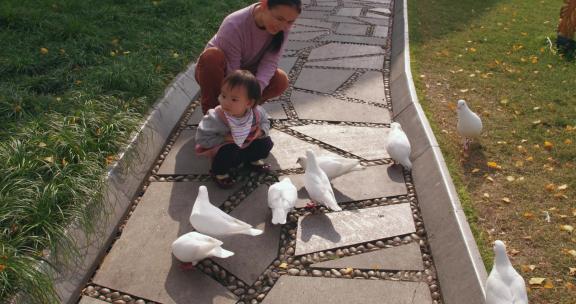 小女孩和妈妈在公园里喂鸽子