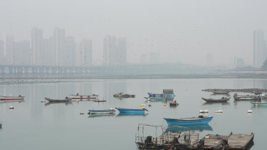 高架桥渔港海湾码头