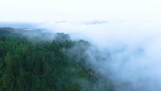 旅游景区云海晨雾