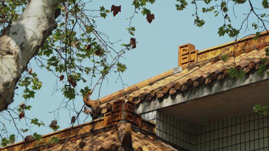 老房子屋顶屋脊视频素材模板下载
