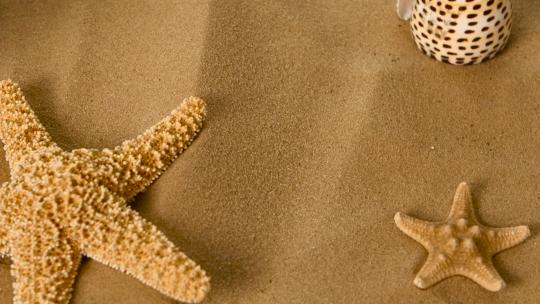 沙滩上的海星，旋转，特写