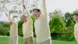 老年幸福生活清晨公园锻炼舒展身体舞动丝带高清在线视频素材下载