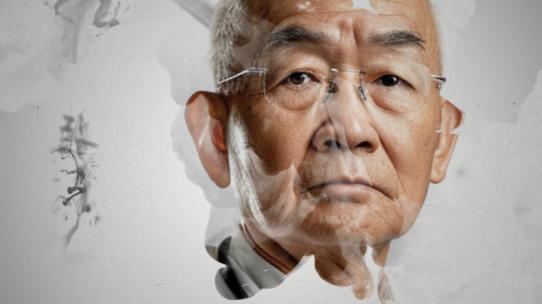 人物传记水墨晕染AE模版