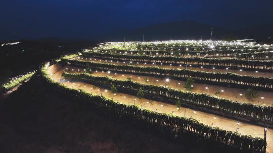 火龙果种植园晚上亮灯航拍