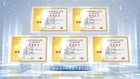 025科技感荣誉证书