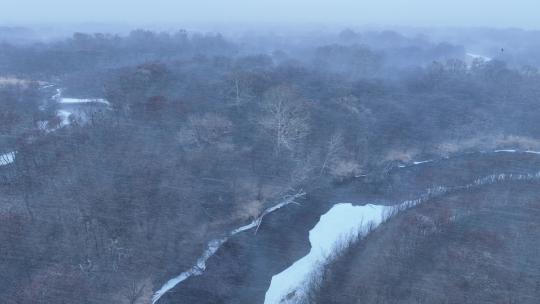 风雪交加风雪弥漫风吹雪湿地红柳河流残冰