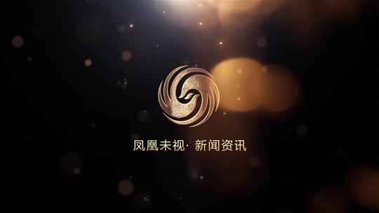 黑金logo演绎AE视频素材教程下载