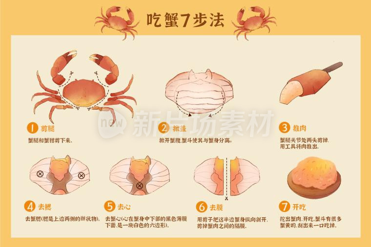 手绘美食螃蟹分解步骤插画图科普讲解流程