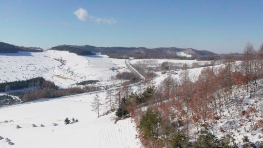 4k航拍雪后的山林