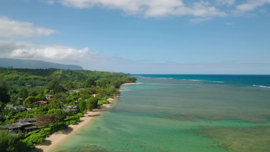 宽空中多莉沿着夏威夷考艾岛阿尼尼海滩向前移动。树木和海岸线，岛屿l