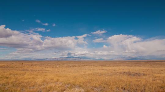 秋天的内蒙古草原