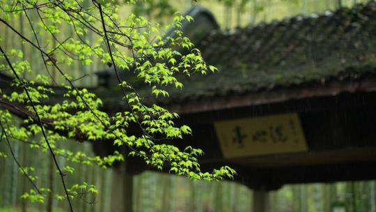 杭州云栖竹径春季清明节雨天古建筑自然唯美