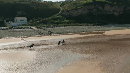 在海边骑马肆意奔跑的镜头