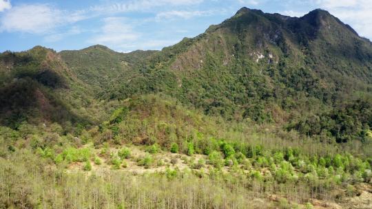 蓝天下的森林山川