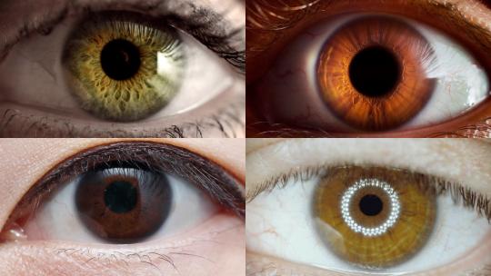 【合集】眼睛特写放大瞳孔眨眼视频素材模板下载