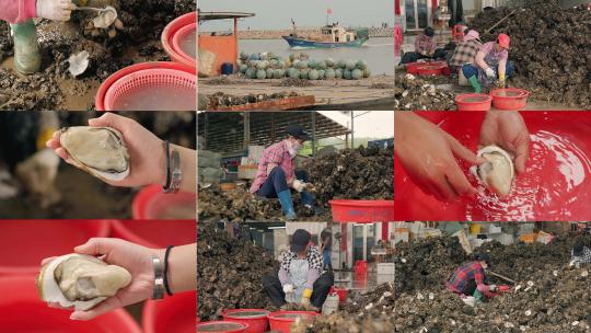 海鲜市场的女工人们正在忙碌的开生蚝