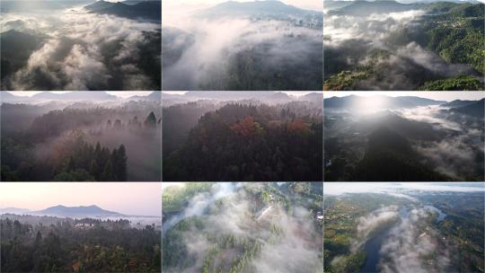 森林云海航拍合集高清在线视频素材下载