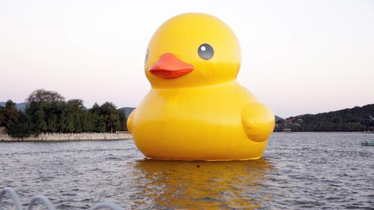 北京颐和园昆明湖上充气大黄鸭