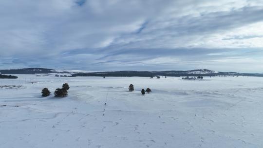 航拍内蒙古呼伦贝尔林草过渡带雪原视频素材模板下载