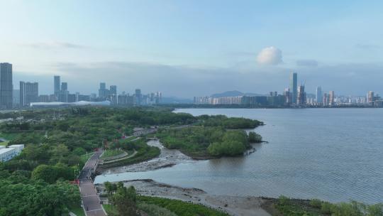 深圳湾公园航拍视频素材模板下载
